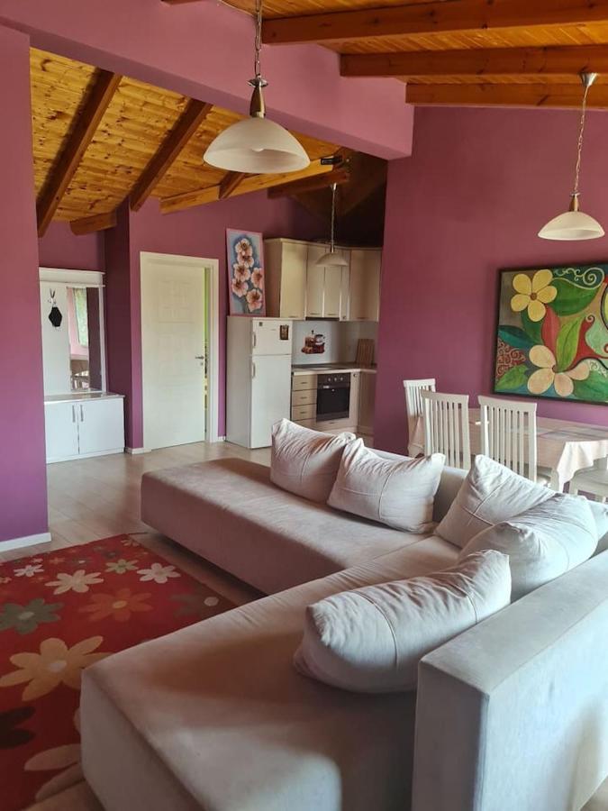 Penthahouse Shallvare Tirana Exterior foto
